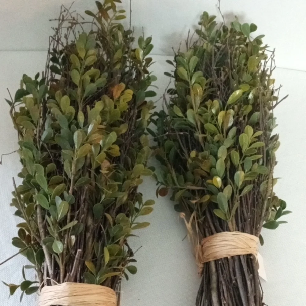 2 Preserved Boxwood Topiary Plant Bundles Rustic Farmhouse Decor 20